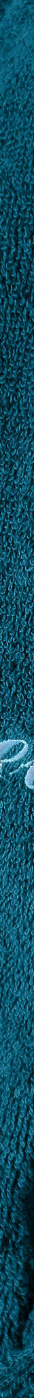 Peignoir mixte adulte éponge bouclette col châle personnalisable (bleu paon) Peignoir mixte adulte éponge bouclette col châle personnalisable (bleu paon)
